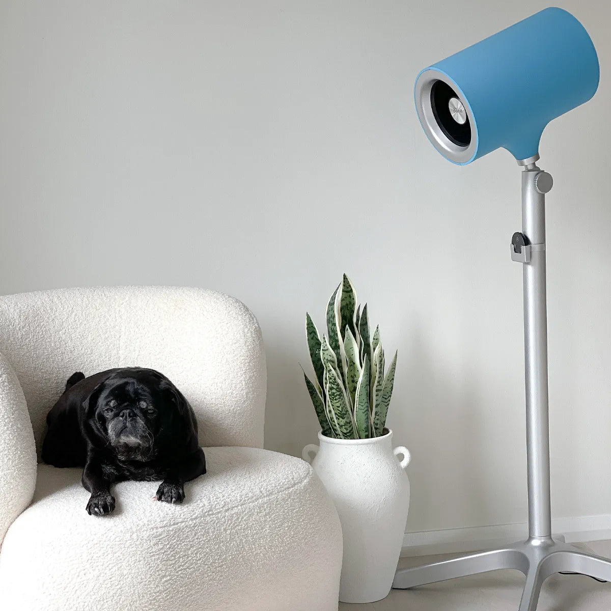 Aura Pedestal Fan 12.5cm